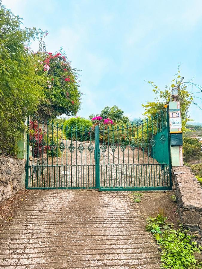 Apartment With Huge Deck Nestled In Marvelous Gardens - Nidos La Orotava Exterior foto
